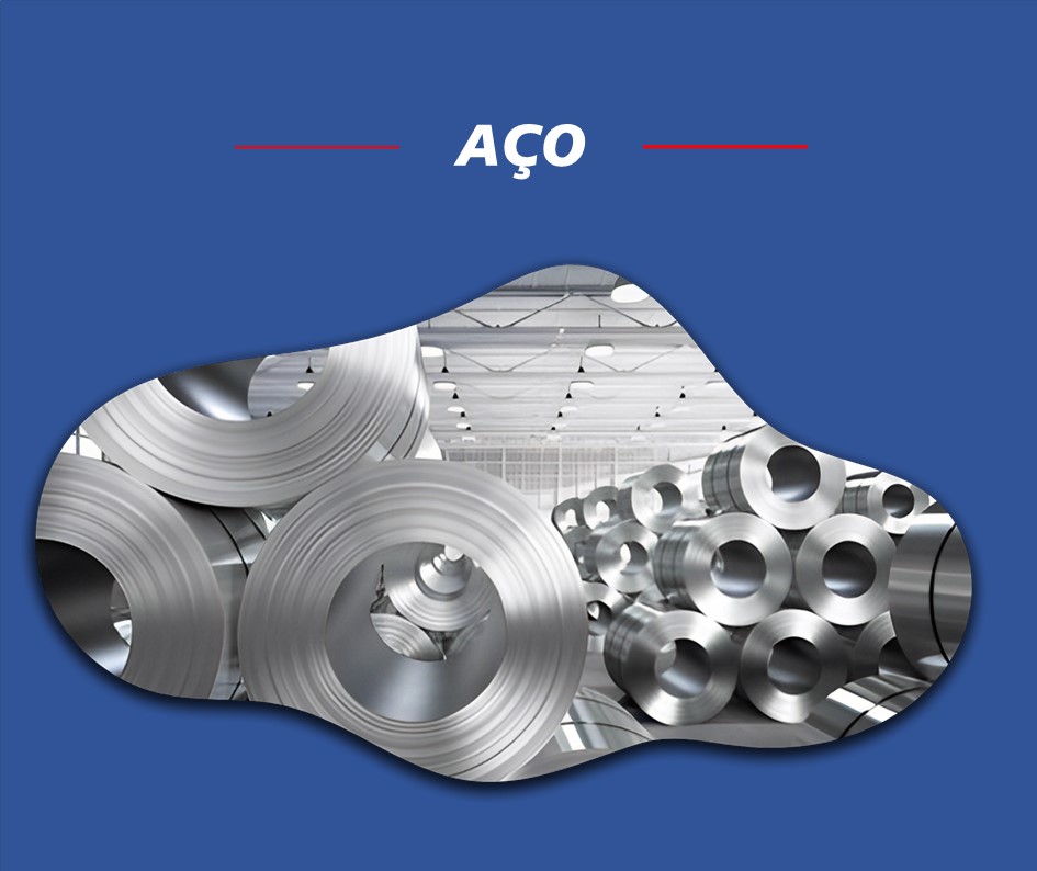 TMG - Cargas Belo Horizonte (5).JPG